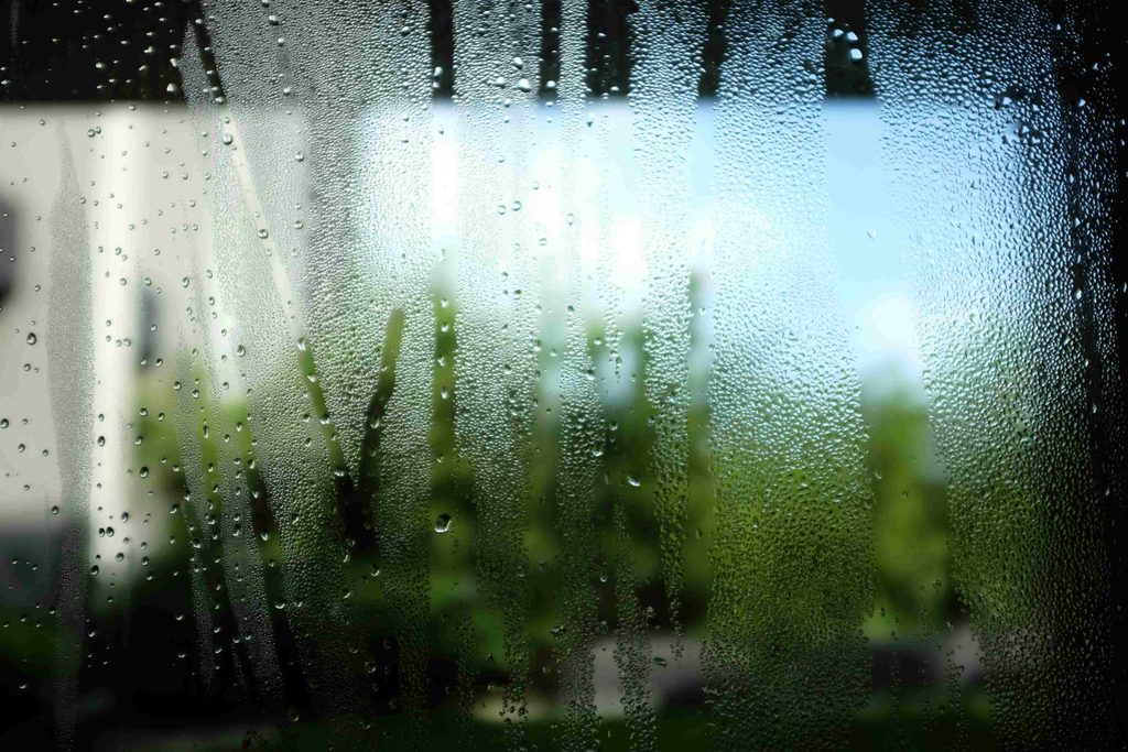 Condensation between the panes | Black Country Glazing Raindrops cling to a glass window with a blurry green garden outside, suggesting a rainy scene.