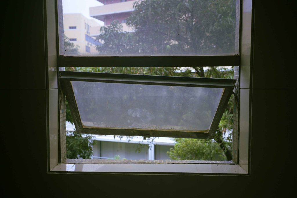 damage to frames | Black Country Glazing Open window viewed from a dark room, showing green trees and a beige building outside.